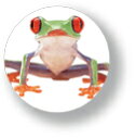 アニマル缶バッジ CBAN008 Frog カエル 中
