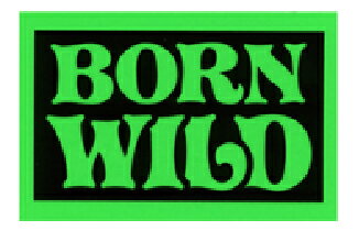 ステッカー No 419 BORN WILD