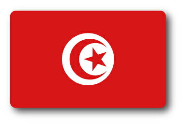 SK367 国旗ステッカー チュニジア TUNI