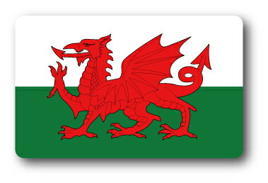 SK374 ƥå 륺 WALES 100߹ ι ĥ  PC ޥ