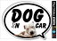 ڥåȥƥå ɥå󥫡 DOG IN CAR 2ɤ SK396 ɥå ƥå    å