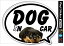 ڥåȥƥå ɥå󥫡 DOG IN CAR 16ɤ SK410 ɥå ƥå    å