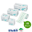 【2巻セット】ヤマト ドレッシングテープW 10cm×10m×2巻セット