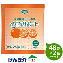 【2箱セット】ヘルシーフード イオンサポート オレンジ味(75g)48袋×2箱セット