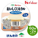 【2箱セット】ハウス おいしくミネラル カルシウムプリン60g×60個×2箱セット
