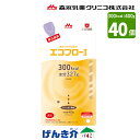 【2箱セット】 森永クリニコ エコフロー2 バッグ とろみ状 カフェオレ風味 400g×20個×2箱セット熱量300kcal 経管栄養 流動食 食品