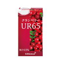 日清 クランベリー UR65 【商品画像準備中】3個セット ホリカ クランベリーUR65　125ml×18パック 果汁65%　日清オイリオから変更 日清オイリオからホリカ