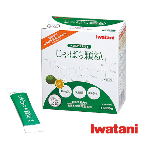 Iwatani Фγ1.7g30ܤФڶǧʴк