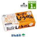 生姜湯 自然王国 生しぼり しょうが湯18g×20袋 1箱 株式会社あさの 協和国産 粉末 生姜パウダー 黒糖 葛粉 かりんエキスジンジャーティー 生姜茶 温活 ジンジャーしょうが 生姜 ショウガ 冷やし生姜湯風邪予防 冷え 夏冷え 食品