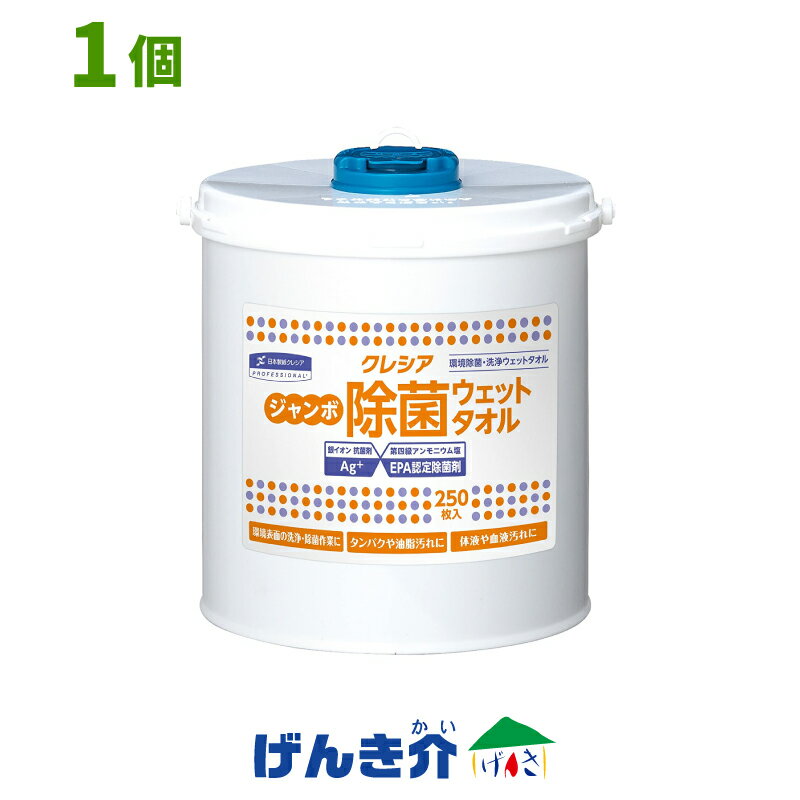 ジャンボ除菌ウェットタオル1個(250枚入×1個)本体ケース