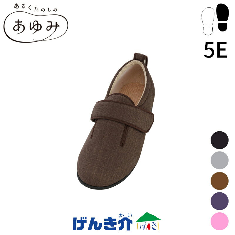 ［直送品］片足のみ販売介護シューズ ダブルマジックIII 施設用5E S～6L（21.0～28.5）徳武産業 W201335［直送品以外と同梱不可］