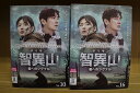 DVD 智異山 チリサン 君へのシグナル 全16巻 チュ・ジフン チョン・ジヒョン ※ケース無し発送 レンタル落ち ZU1683
