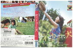 【中古】 DVD サイドカーに犬 竹内結子 古田新太 松本花奈 レンタル版 ZM01557