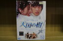 DVD 天国の樹 全6巻 イ・ワン パク・シネ ※ケース無し発送 レンタル落ち ZU1689