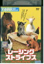 【中古】 DVD レーシングストライプス レンタル版 VVV05537