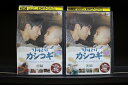 【中古】 DVD カシコギ 父と子が過ごした かけがえのない日々 全2巻 ※ケース無し発送 レンタル落ち Z3T6528