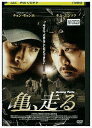 【中古】 DVD 亀、走る レンタル落ち Z3U00325