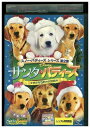 【中古】 DVD サンタ・バディーズ レンタル落ち MMM02823