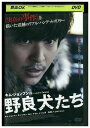 【中古】 DVD 野良犬たち レンタル落ち Z3U00979