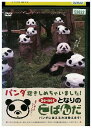【中古】 DVD となりのこぱんだ パンダ抱きしめちゃいました パンダに会える 方法教えます レンタル落ち ZW02241