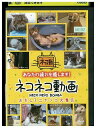 【中古】 DVD ネコネコ動画 おもしろニャンコ大集合 レンタル落ち ZQ02418