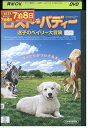 【中古】 DVD ロストバディー 迷子のベイリー大冒険 レンタル落ち NNN09947