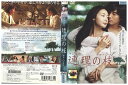 【中古】 DVD 連理の枝 チェ・ジウ レンタル落ち Z3Q00682