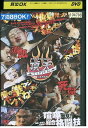 DVD STREET FIGHT 頂天 TEPPEN JAPAN 喧嘩一武道会 レンタル落ち ZZ04805
