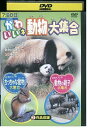 【中古】 DVD かわいいネ!どうぶつ大集合 レンタル落ち ZP00439