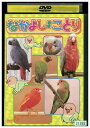 【中古】 DVD なかよしことり レンタル落ち ZR00276