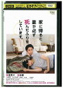 【中古】 DVD 家に帰ると妻が必ず死んだふりをしています。 榮倉奈々 安田顕 大谷亮平 レンタル落ち ZU00751