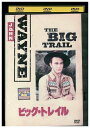 【中古】 DVD ビッグ・トレイル レンタル落ち NNN07194
