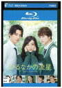 【中古】 ブルーレイ ひるなかの流星 永野芽郁 三浦翔平 白濱亜嵐 レンタル落ち ZU02984
