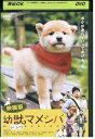 DVD 幼獣マメシバ 映画版 佐藤二朗 安達祐実 レンタル落ち ZZ03166