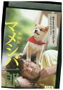 DVD 映画版 マメシバ一郎 レンタル落ち ZZ03273