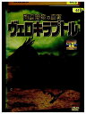 【中古】 DVD 肉食恐竜の真実 ヴェロキラプトル レンタル落ち ZP03909