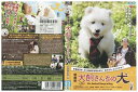 【中古】 DVD 映画版 犬飼さんちの犬 小日向文世 レンタル落ち ZQ00152