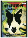 【中古】 DVD バリオ19 レンタル落ち ZQ03201