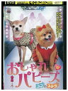 【中古】 DVD おしゃれパピーズ ココ&ステラ レンタル落ち NNN01610