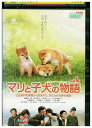【中古】 DVD マリと子犬の物語 レンタル落ち ZU02231