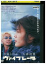 【中古】 DVD ヴァイブレータ レンタル落ち ZU00800