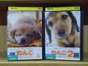 【中古】 DVD わんこ THE MOVIE 2本セット ※ケース無し発送 レンタル落ち ZT1481