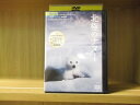 【中古】 DVD 北極のナヌー レンタル落ち ZT01599