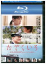 【中古】 ブルーレイ かぞくいろ RAILWAYS わたしたちの出発 レンタル落ち ZU03039