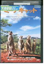 【中古】 DVD ミーアキャット レンタル落ち ZV01977