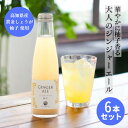 【5/10 ポイント5倍】母の日 ギフト まだ間に合う ギフト 送料無料 プレゼント【6本セット】 ジンジャーエール柚子 ゆず はるのテラス ギフト プレゼント...