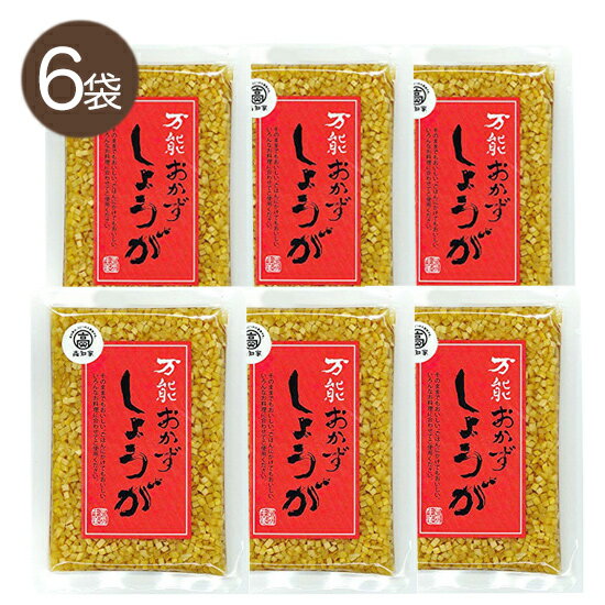 【6袋セット】万能おかず生姜 130g 四国健商【メール便送料無料】とささと 人気 おかずしょうが まるごと高知アンテナショップ テレビ紹介で話題 しょうが焼き お年賀 プチギフト お歳暮 景品