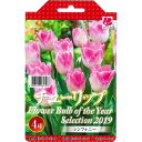 チューリップ 球根 JAPANフラワーバルブオブイヤー シンフォニー 4球セット NEW - 母の日 花 ガーデニング岐阜緑園