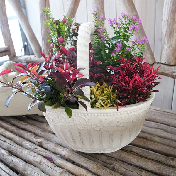 フェデクルーバスケット GF3435 軽量、耐寒グラスファーバー製テラコッタ 約26×17.5×14（28）センチH ..