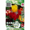 【10月上旬発送】花の形で選ぶチューリップ5球セット パーロット咲き混合 変わり咲き